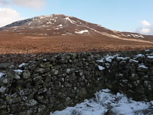 Sheepfold to Bleaberry Fell